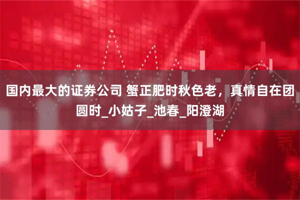 国内最大的证券公司 蟹正肥时秋色老，真情自在团圆时_小姑子_池春_阳澄湖