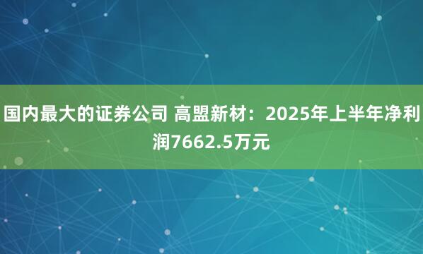 国内最大的证券公司 高盟新材：2025年上半年净利润7662.5万元