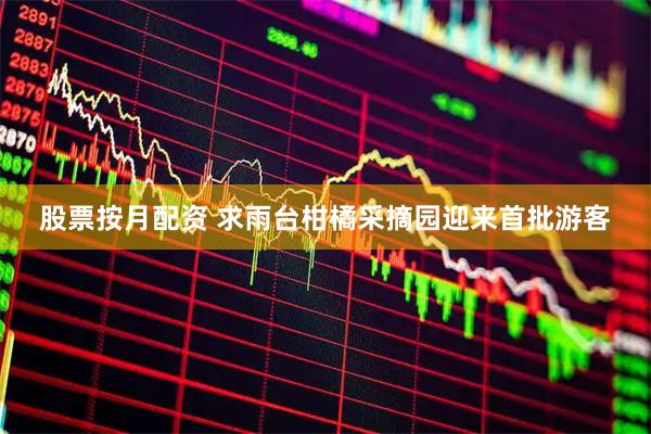 股票按月配资 求雨台柑橘采摘园迎来首批游客