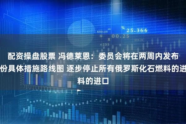 配资操盘股票 冯德莱恩：委员会将在两周内发布一份具体措施路线图 逐步停止所有俄罗斯化石燃料的进口