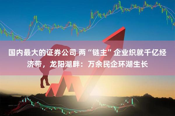 国内最大的证券公司 两“链主”企业织就千亿经济带，龙阳湖畔：万余民企环湖生长