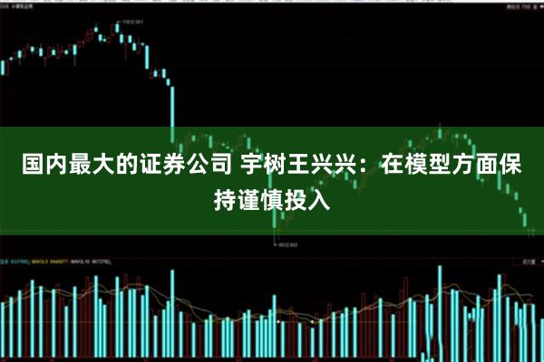 国内最大的证券公司 宇树王兴兴：在模型方面保持谨慎投入