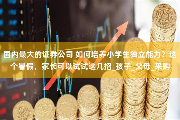 国内最大的证券公司 如何培养小学生独立能力？这个暑假，家长可以试试这几招_孩子_父母_采购