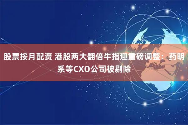 股票按月配资 港股两大翻倍牛指迎重磅调整：药明系等CXO公司被剔除