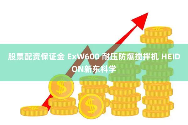 股票配资保证金 ExW600 耐压防爆搅拌机 HEIDON新东科学